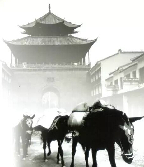 【追梦·西藏的足迹】西南丝绸之路：从茶马古道的烟尘到天路的呼啸