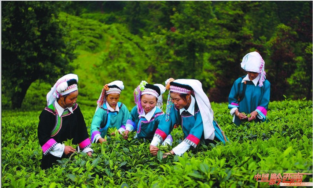 普安茶文化生态园