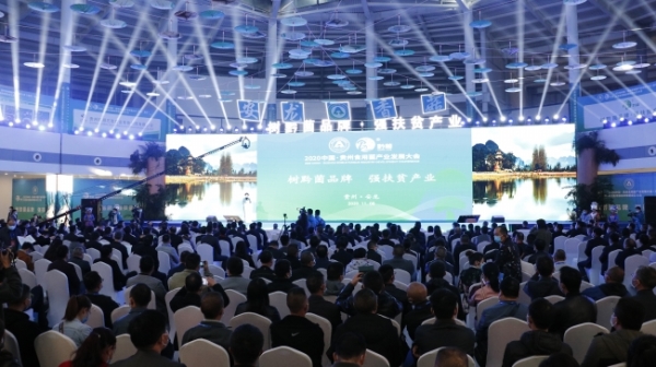 2020中国·贵州食用菌产业发展大会在安龙隆重开幕