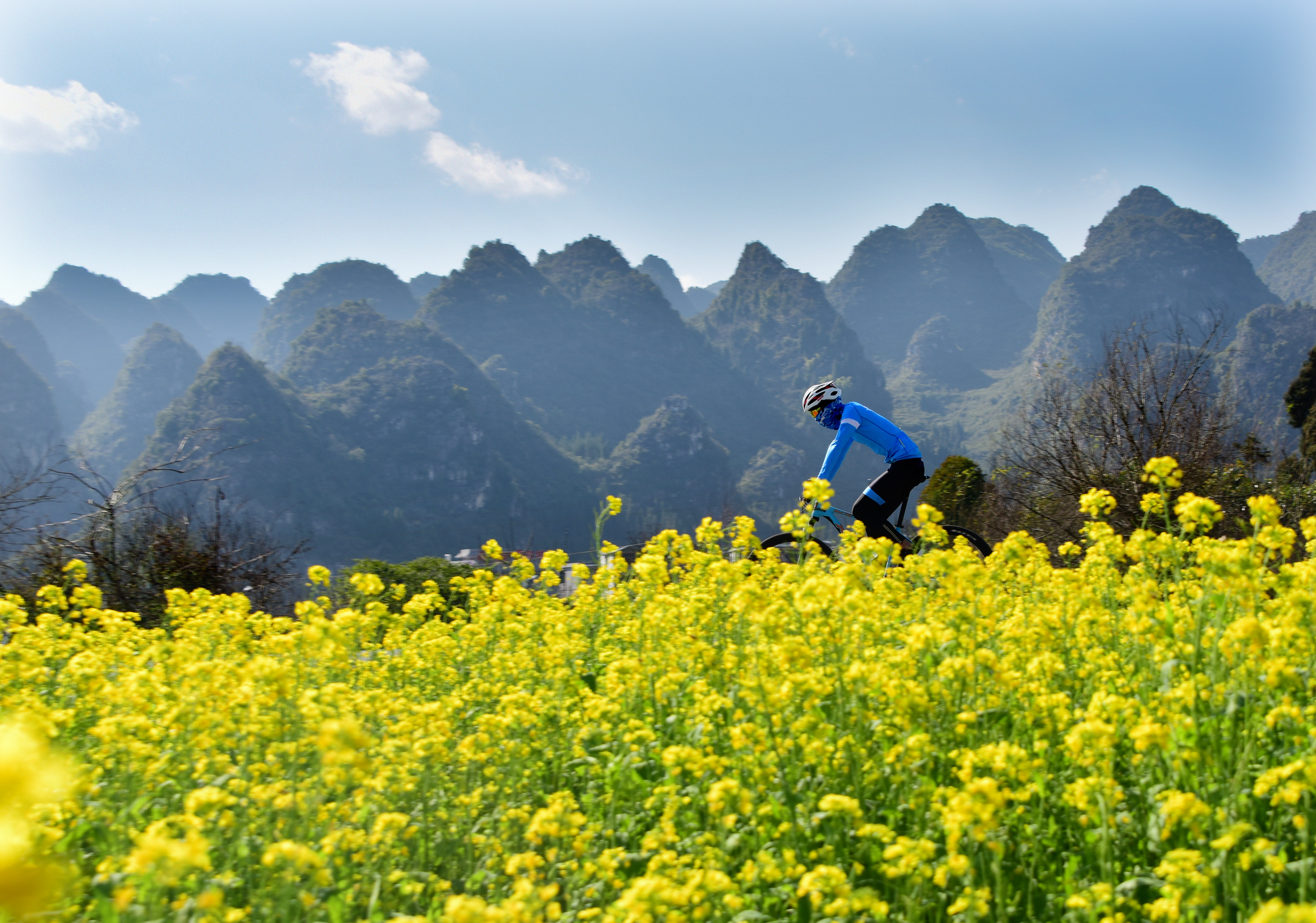 花样黔西南浪漫赏花之旅